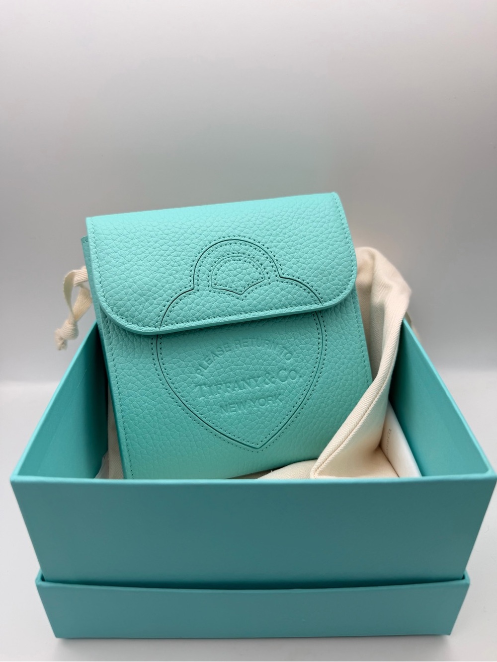 Tiffany & Co. New RTT Tiffany Blue Travel Case Organizer